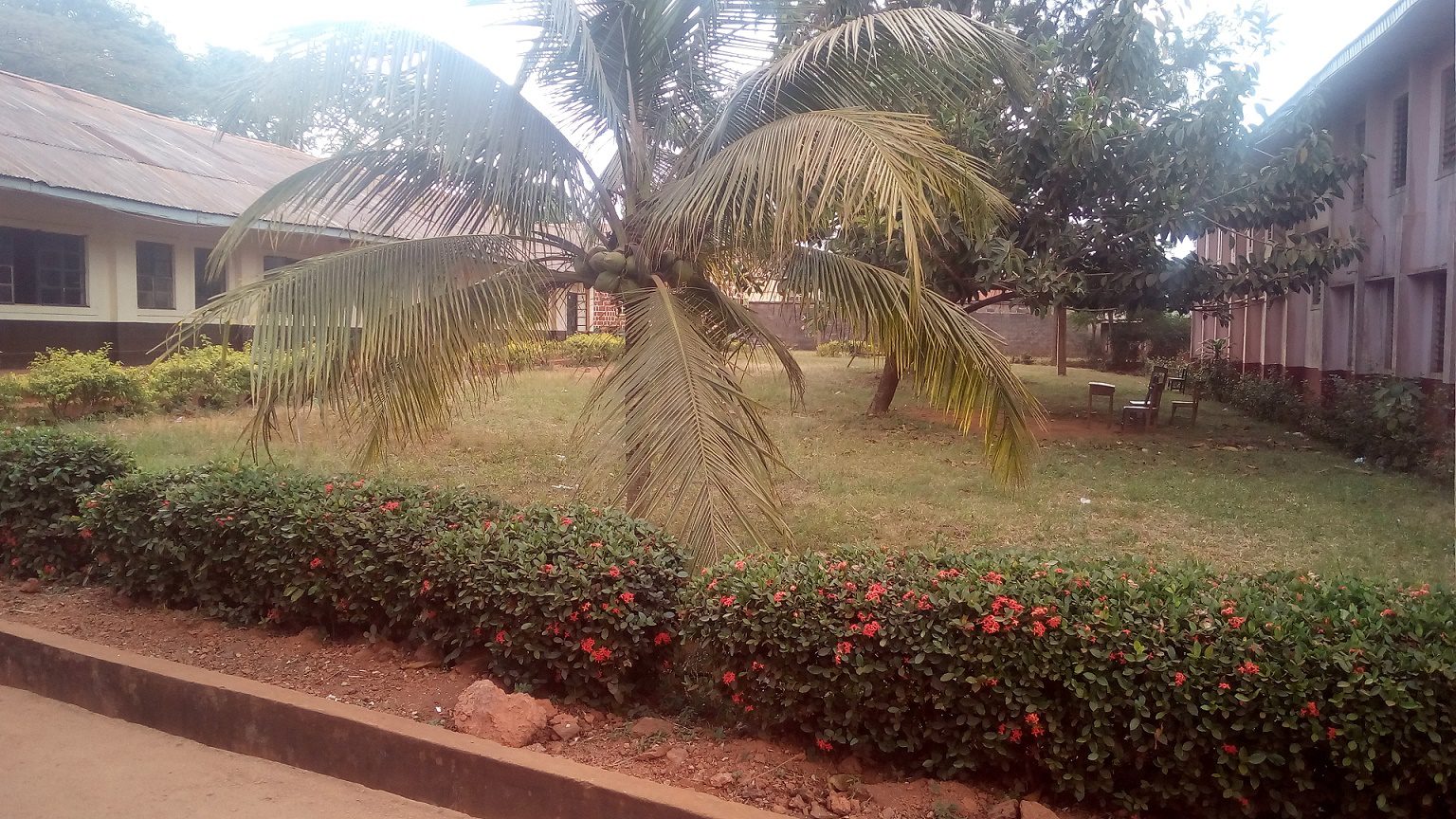 Photo from Our Campus