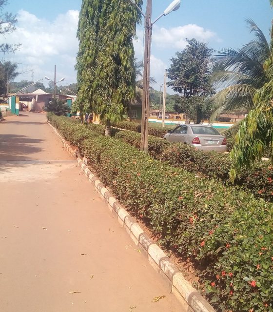 The drive into the college